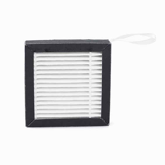 Air Filter-E2 & E2Cf