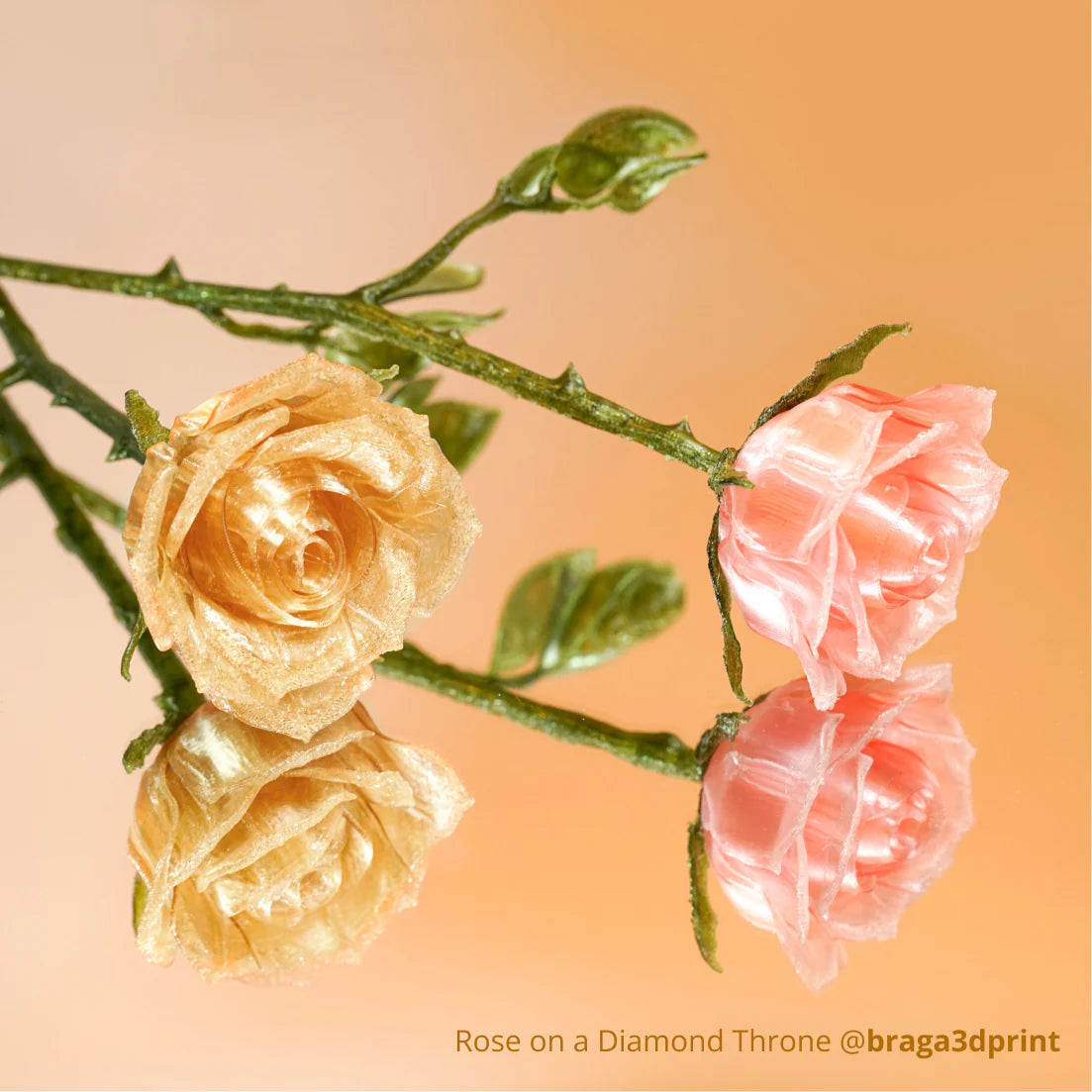 Bambu PETG Translucent