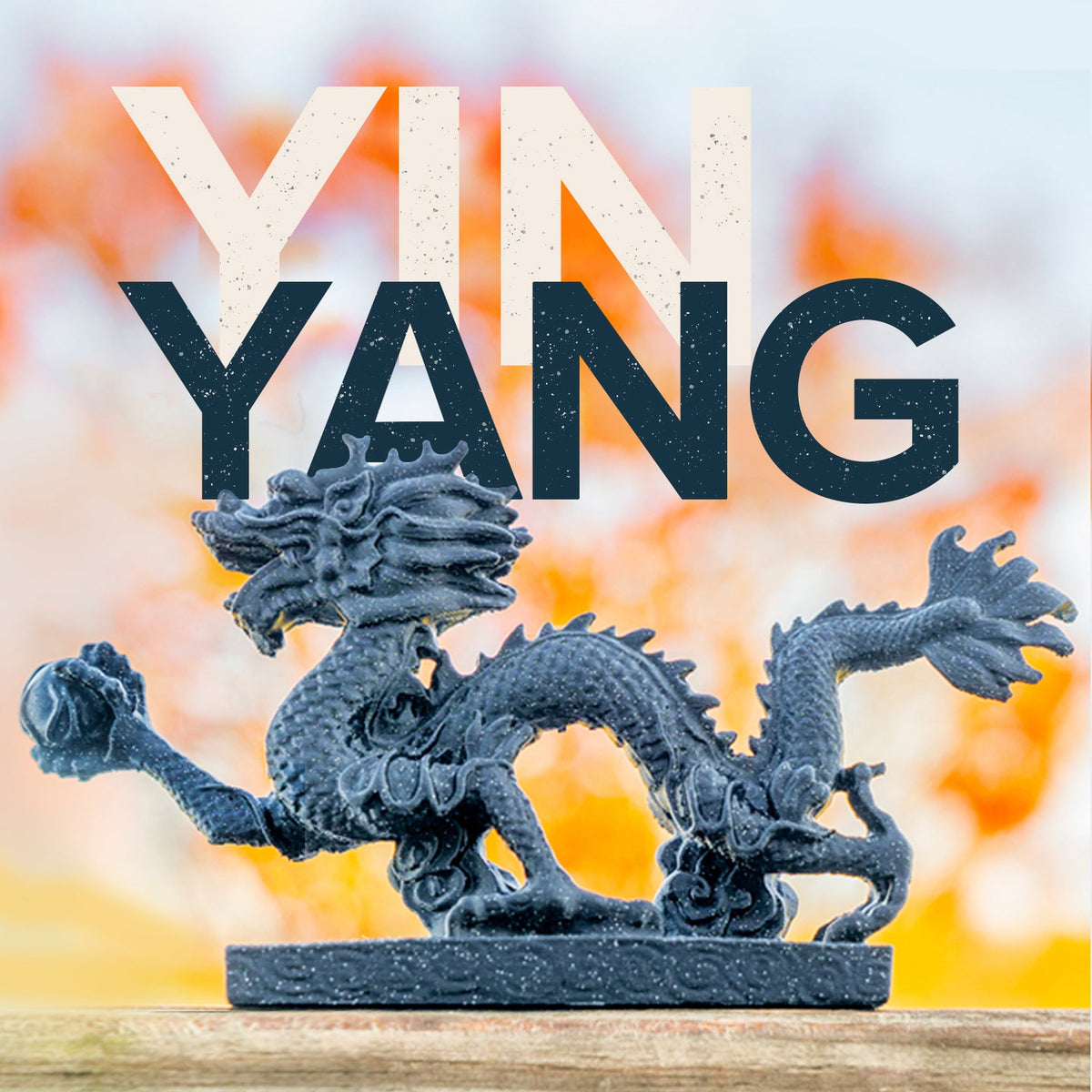 Panchroma Dual Special PLA 1.75mm 3D printer filament | Polymaker showing VIN, YANG
