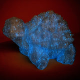 Capricorn Firefly Glow in the Dark PLA Filament