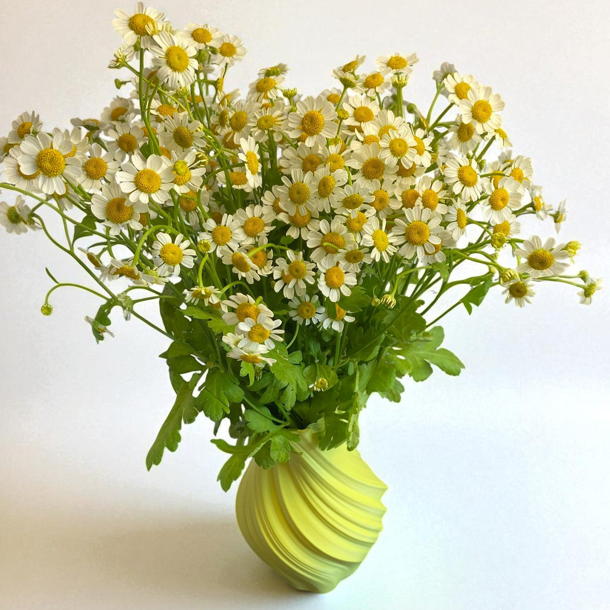 Layer Line Filament - TerraForm PHA Filament